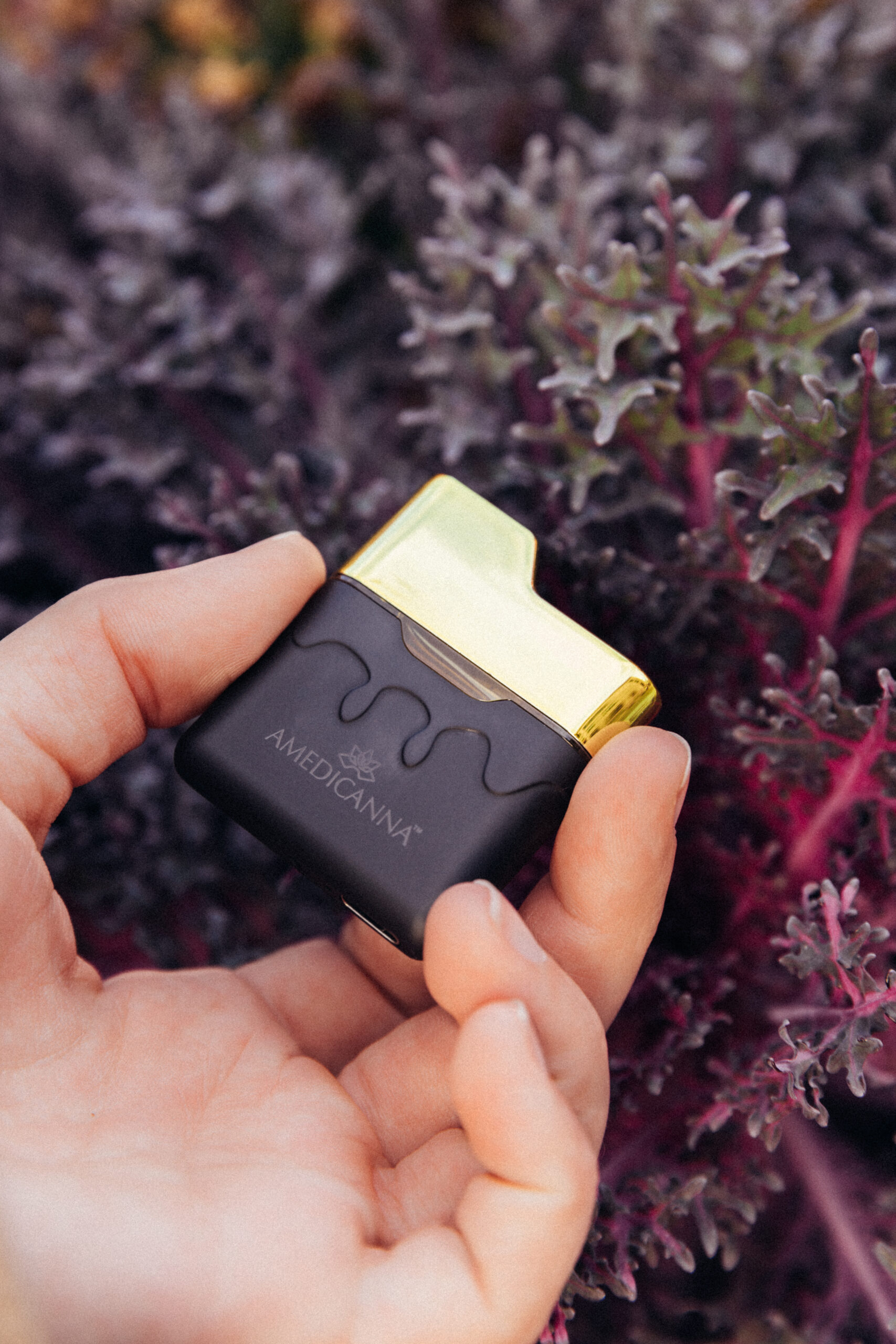 2.2 GRAM AIO VAPE